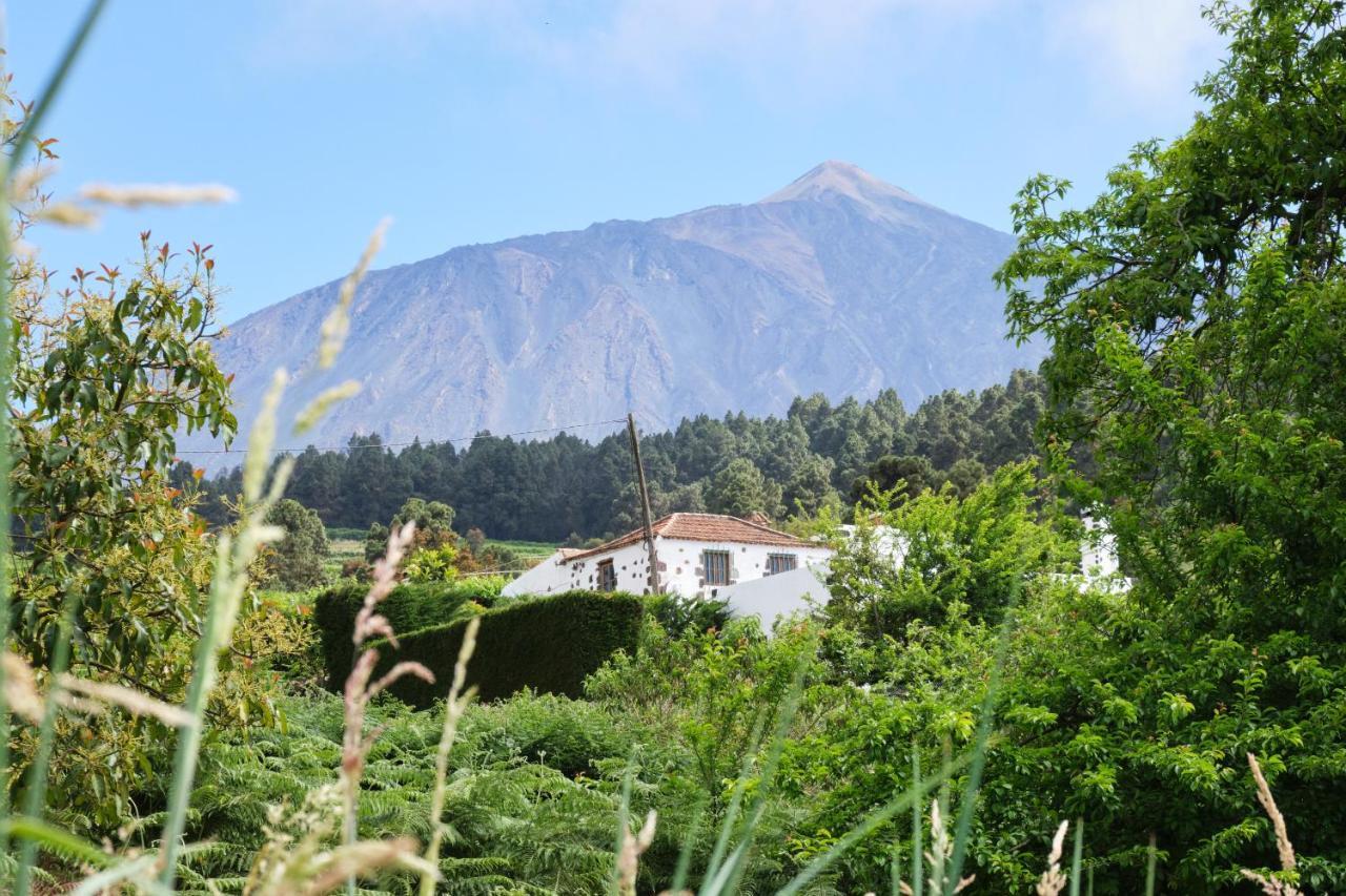 Casa Rural Felipe Luis San Juan de la Rambla 外观 照片
